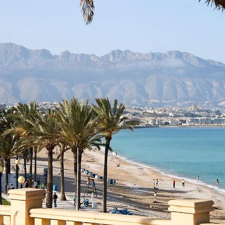El Nuevo Faro * El Albir